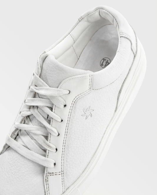 Aura Prime | Clean White